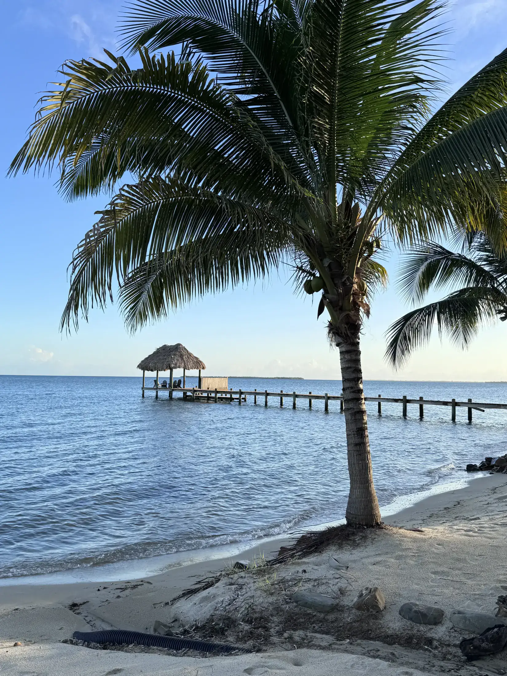 protected areas of Placencia