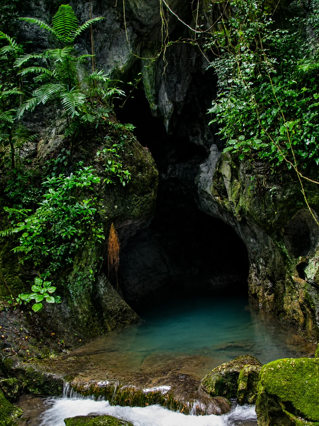 Water-filled entrance to Actun Tunichil Muknal cave in the Tapir Mountain Nature Reserve, Belize