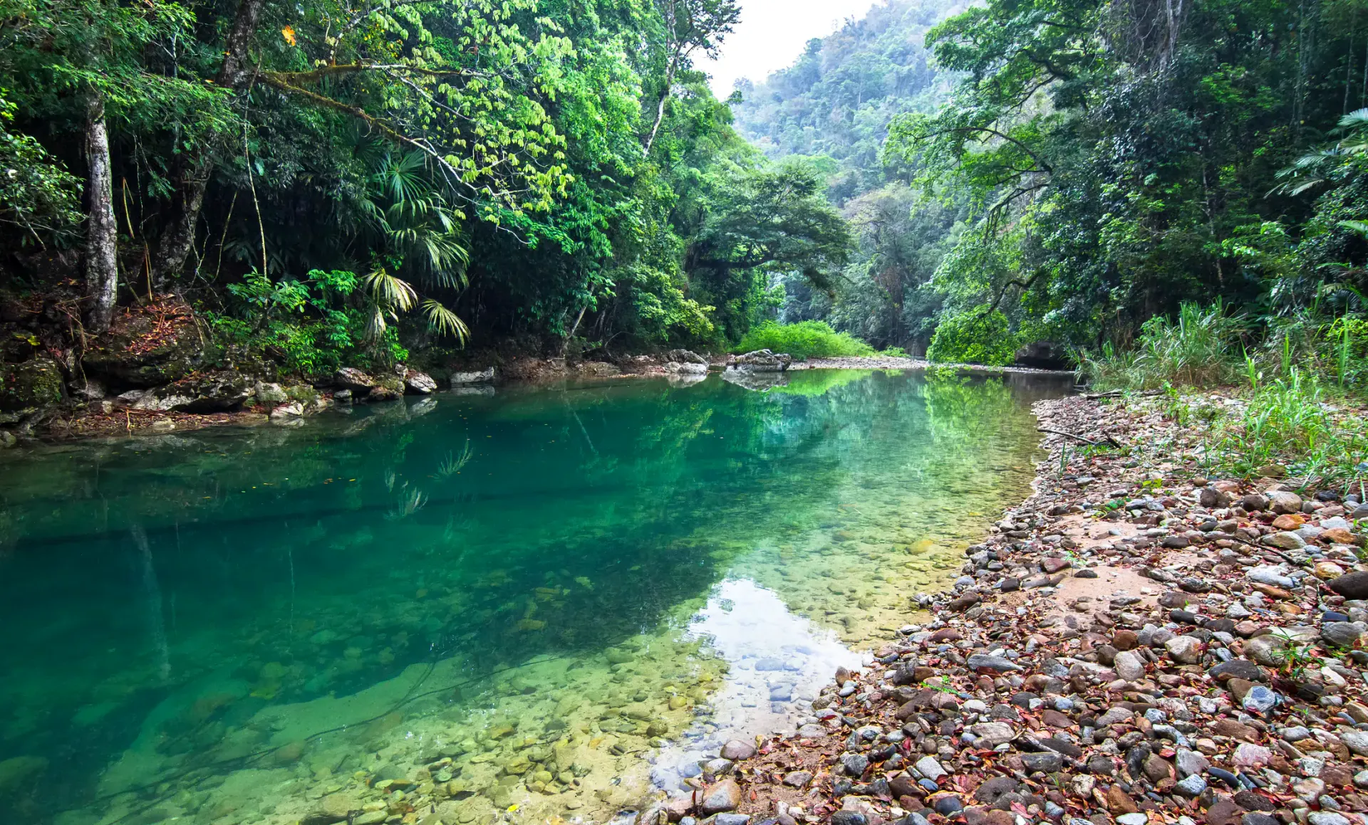 Belize travel scene featuring Remote Camp Nights