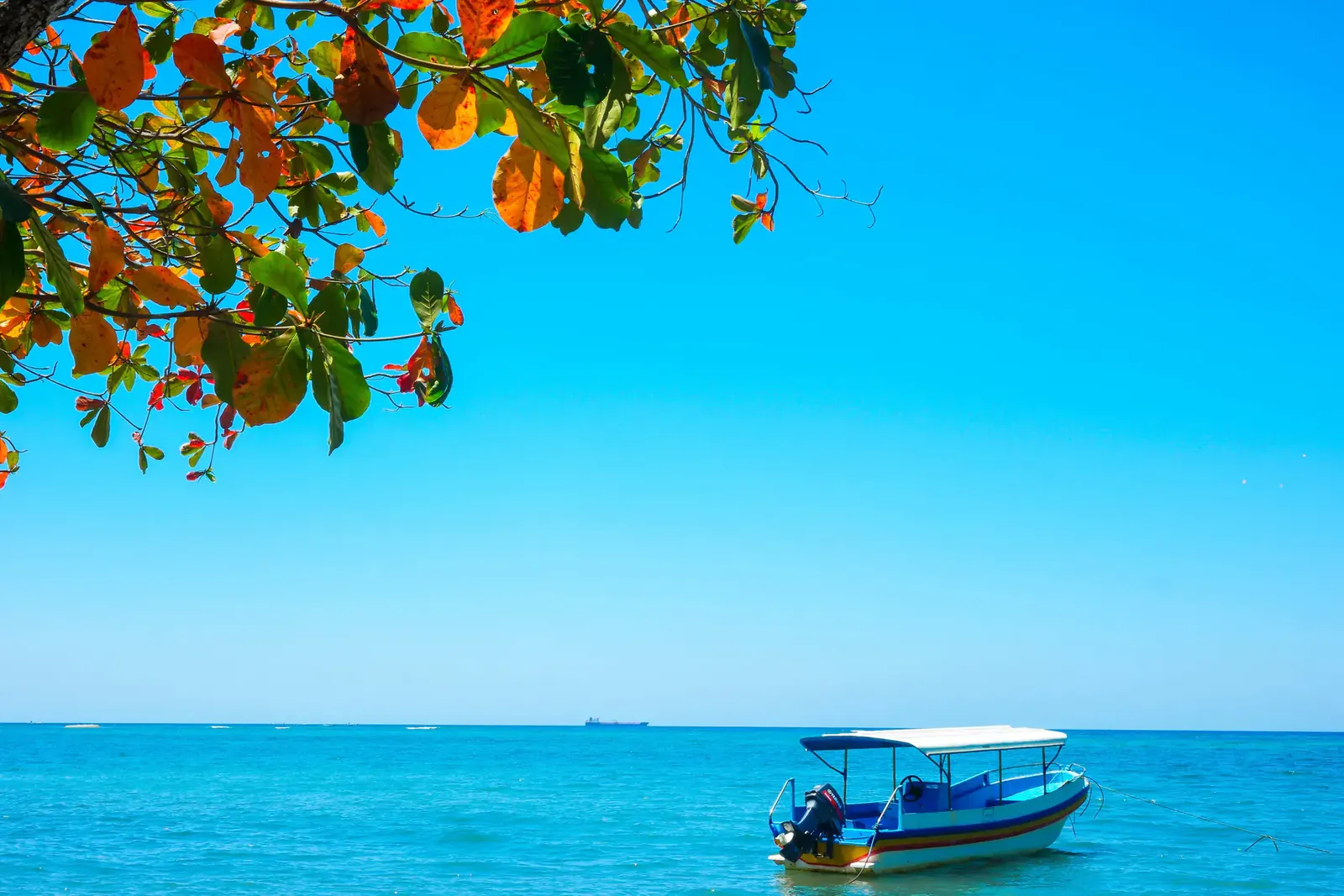 Belize travel scene featuring Water Sports Window