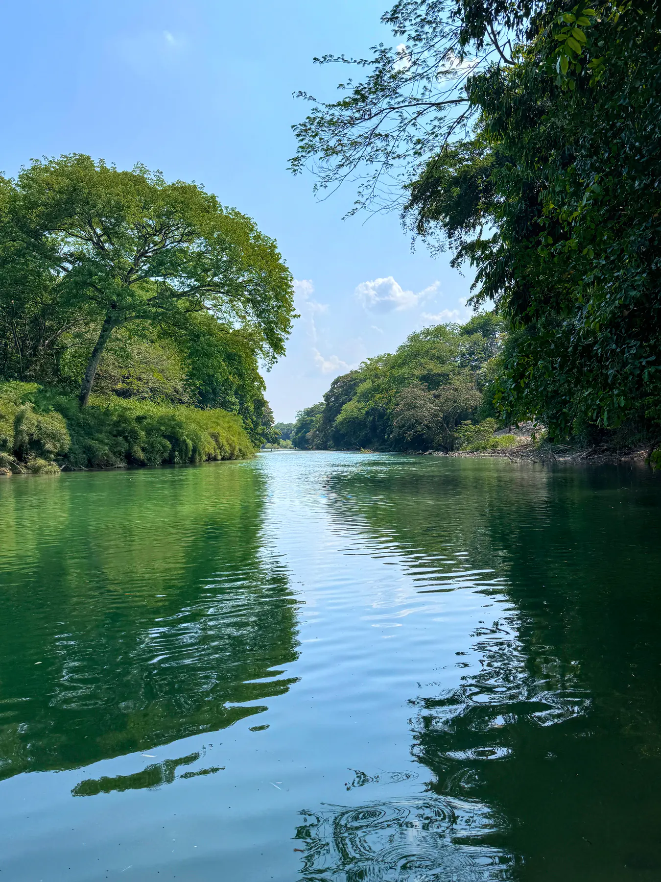 The Mopan River at Bullet Tree Falls Village, Belize