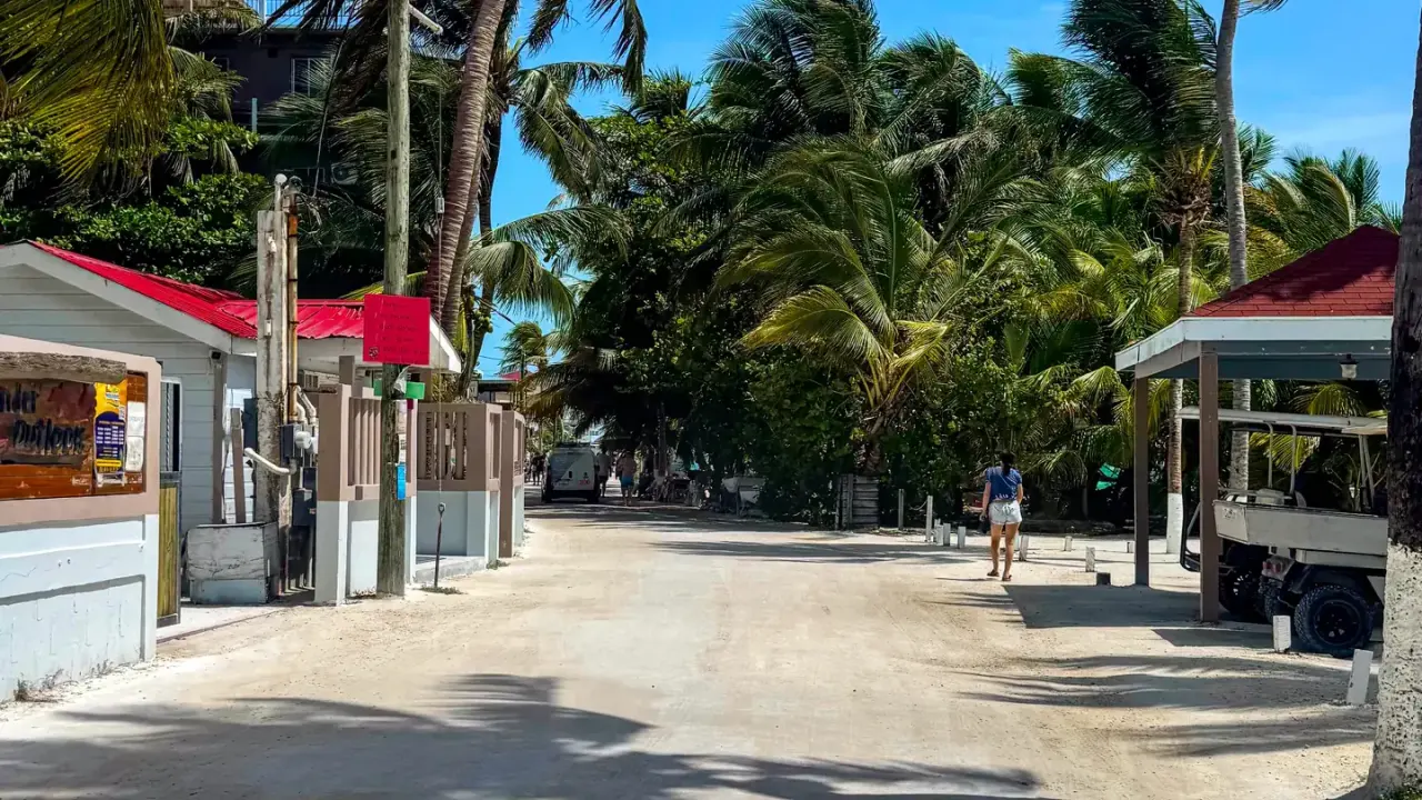 A sandy main street on Caye Caulker lined with palms and small painted shopfronts