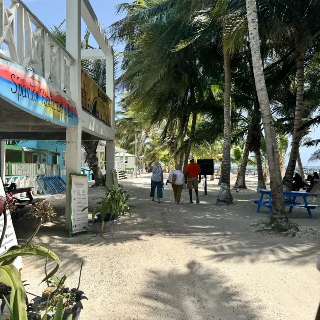 Travelers walking past Spiritual Restaurant and Bar beneath coconut palms on Caye Caulker