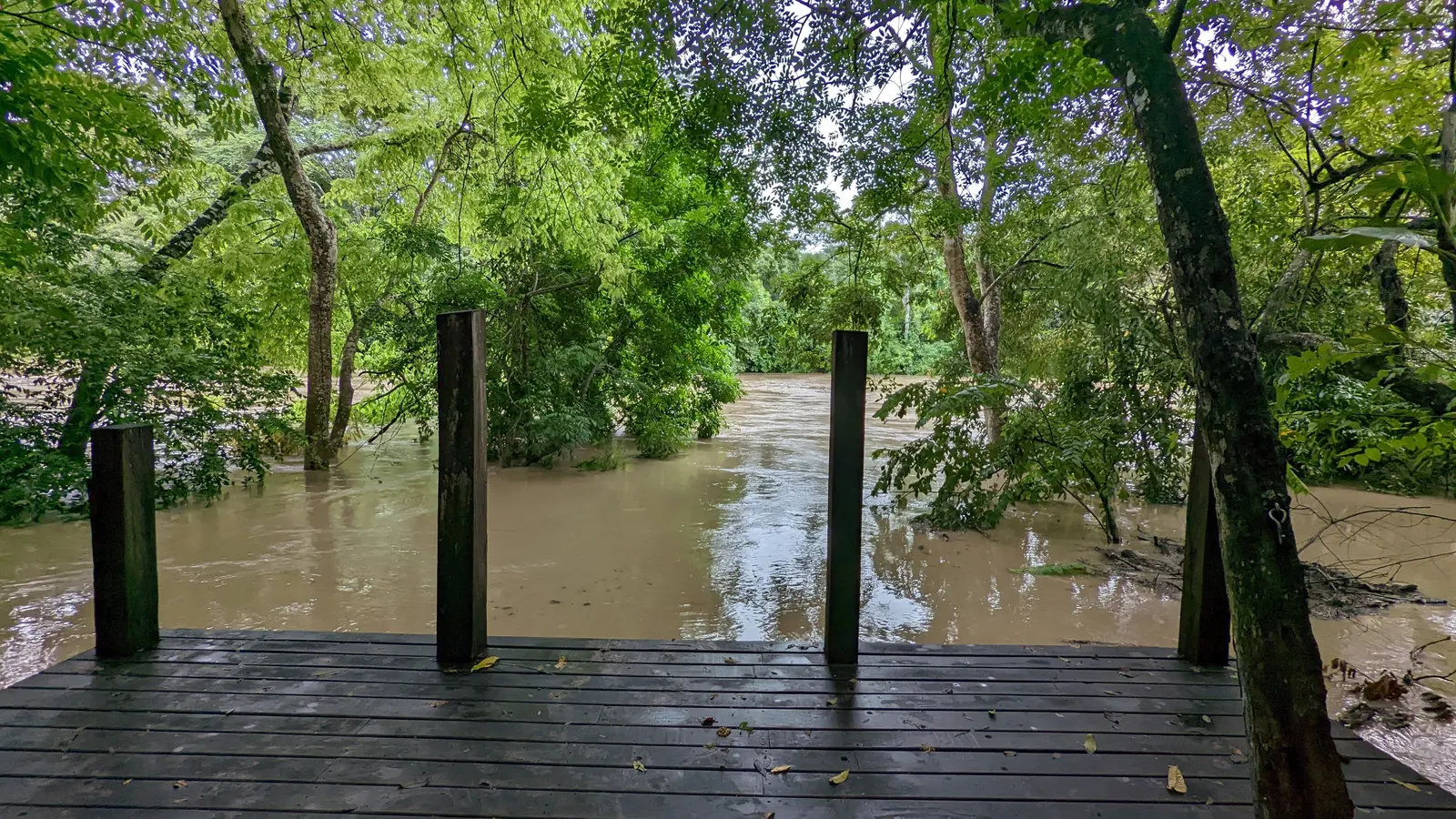 A half-built wooden deck at a family home in Bullet Tree Falls, Cayo, Belize, with brown floodwater reaching the treeline just beyond it