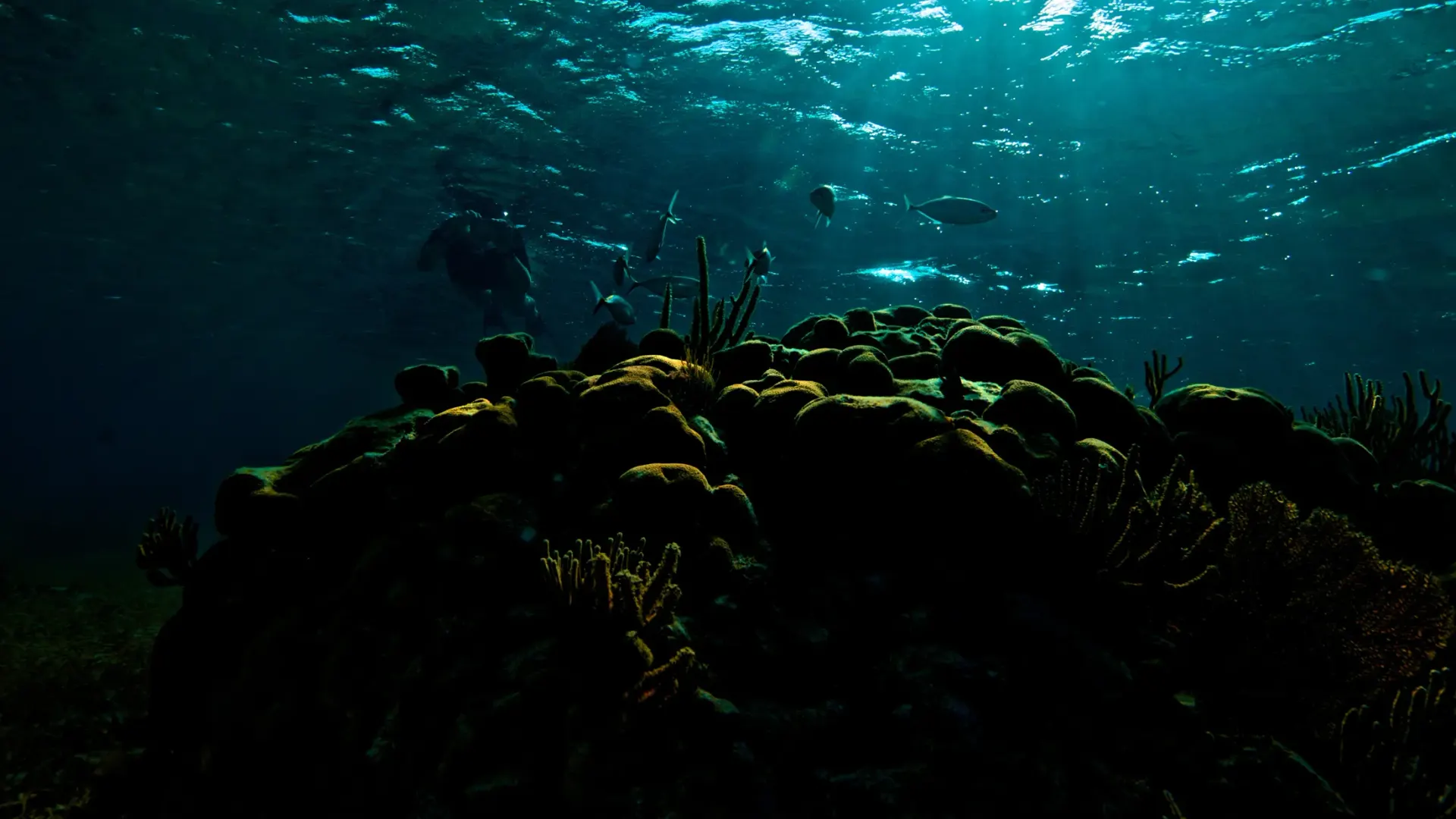 The Belize bucket list: 10 tours travelers rank highest