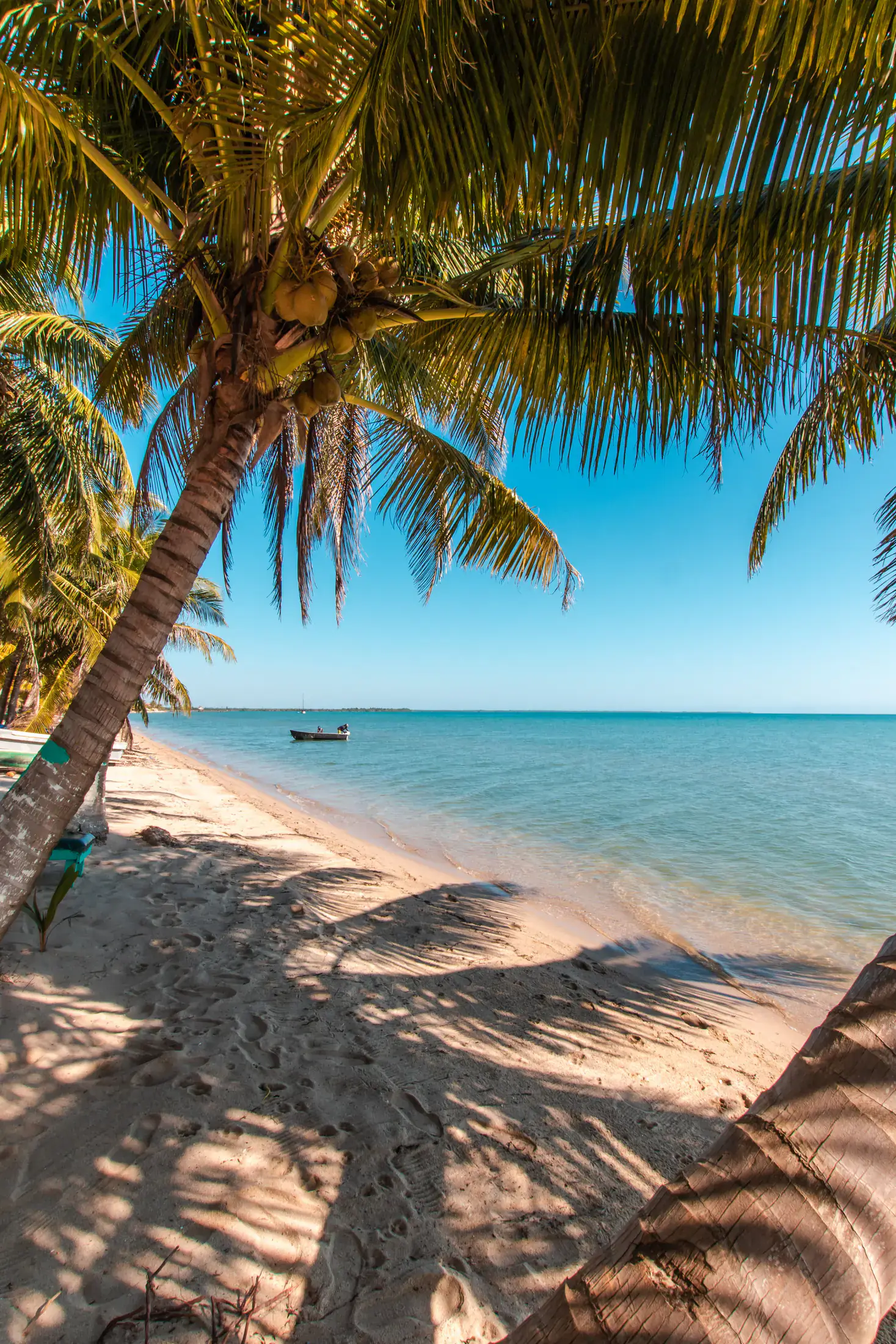 Belize travel scene featuring Hopkins accommodations