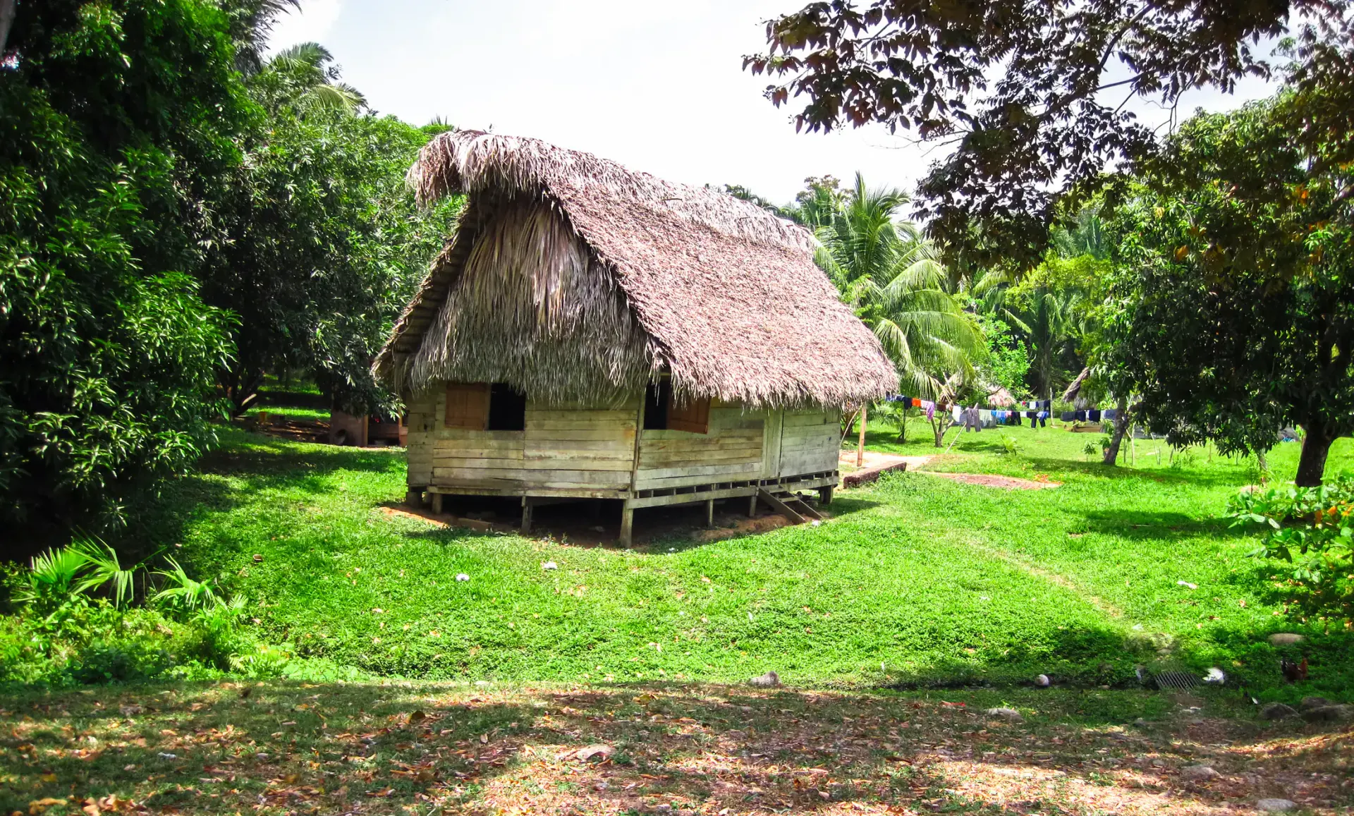 Traditional thatched-roof house in a Belizean village, reflecting the country's Maya and multicultural heritage