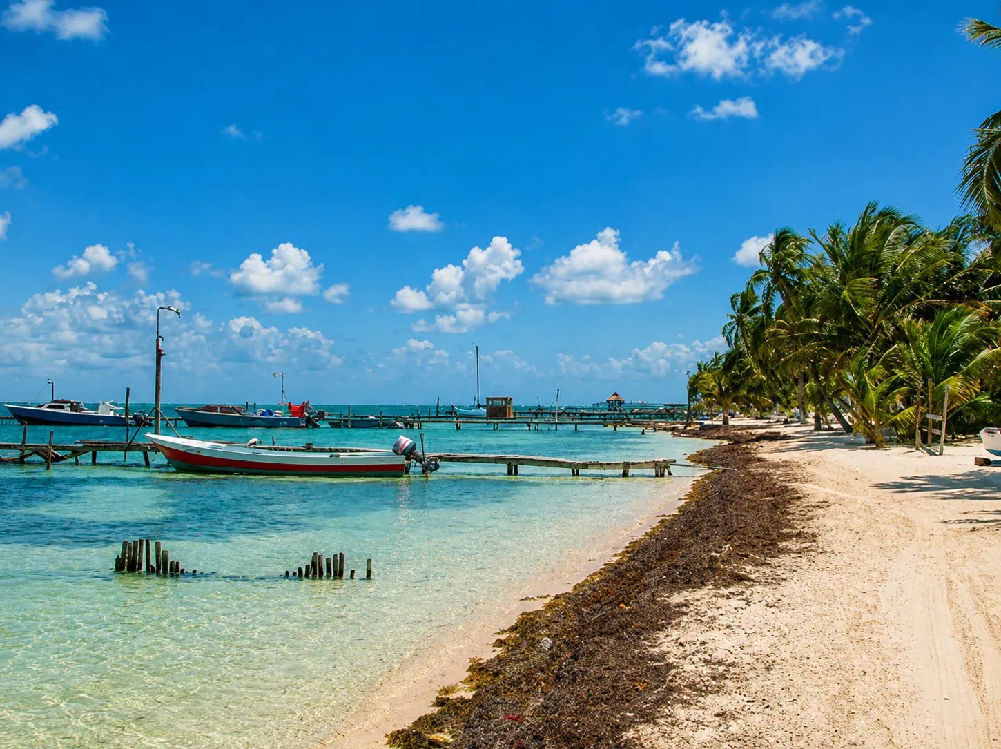 Belize travel scene featuring Which Belize Beaches Are Most Affected?
