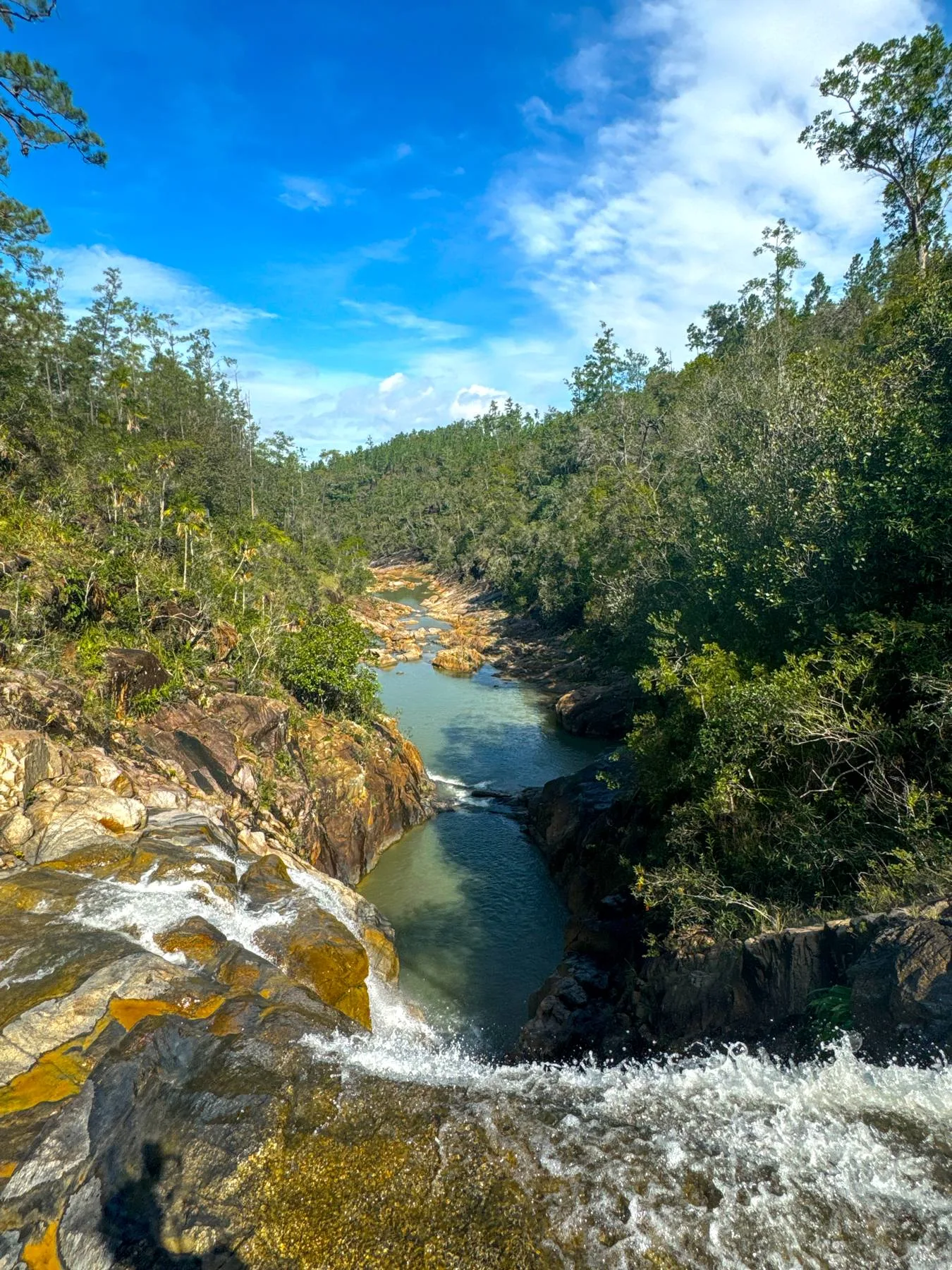 Big Rock Falls spilling into a clear river pool in a pine-forested gorge, Mountain Pine Ridge, Belize