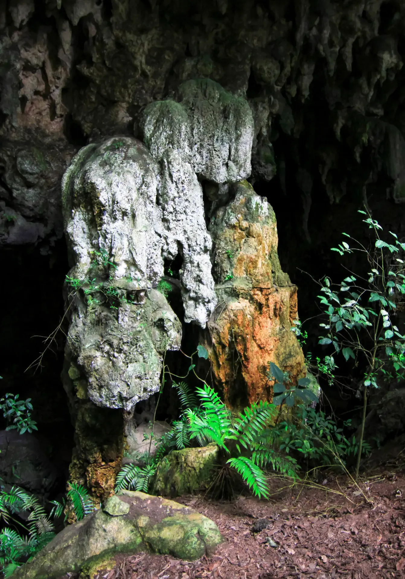 Belize travel scene featuring Cave Exploration