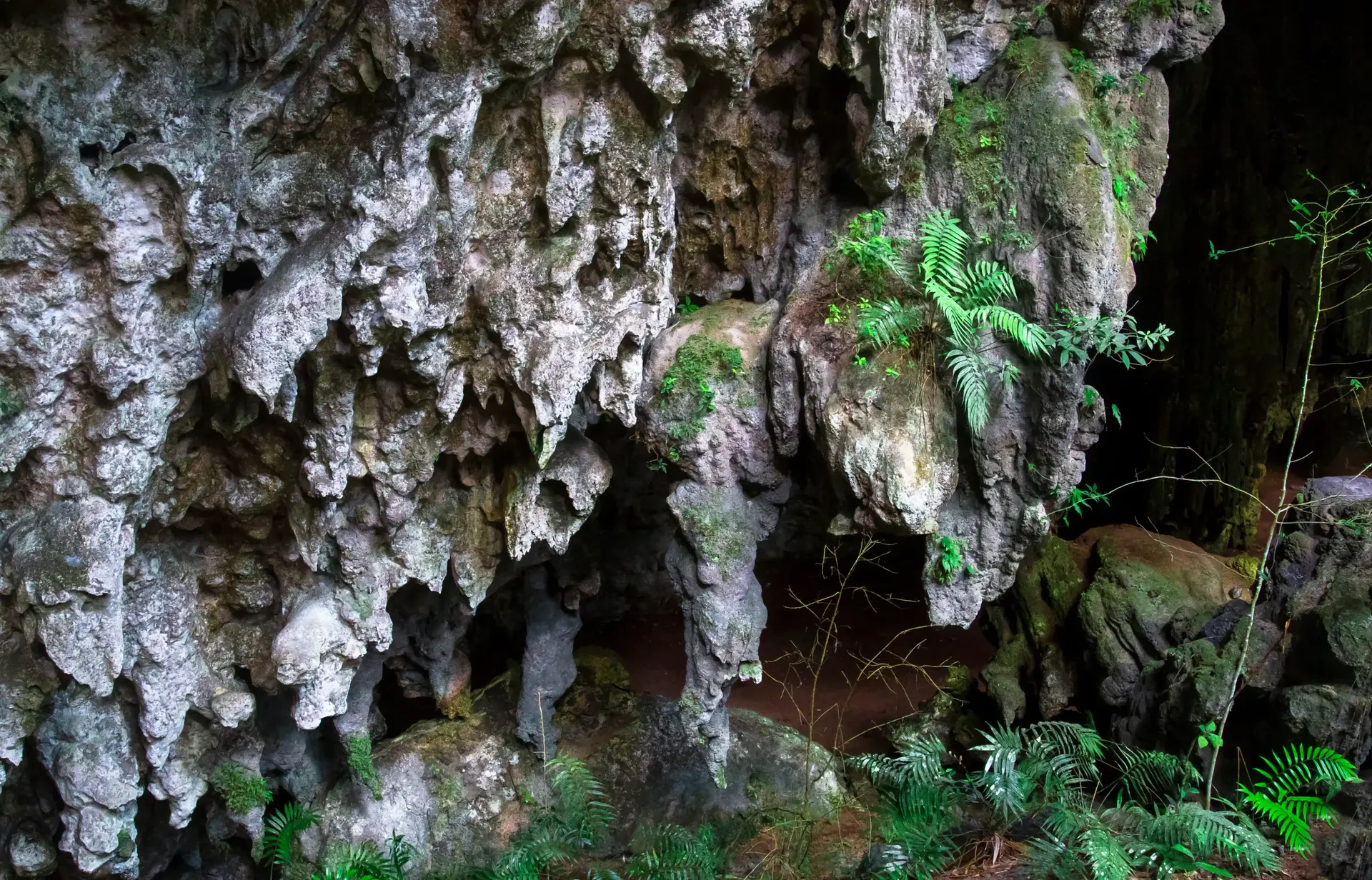 Belize travel scene featuring Cave Exploration