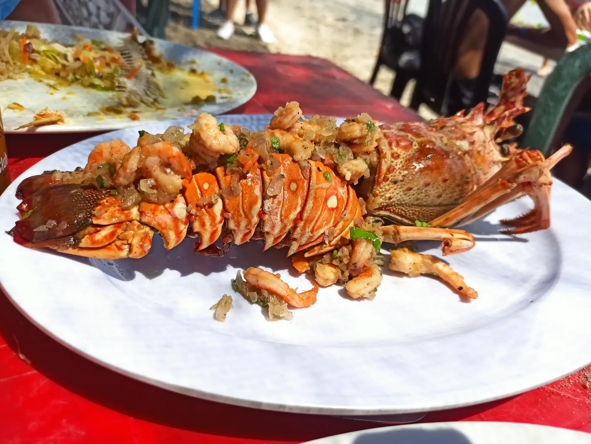 Belize travel scene featuring Chef-Led Dining