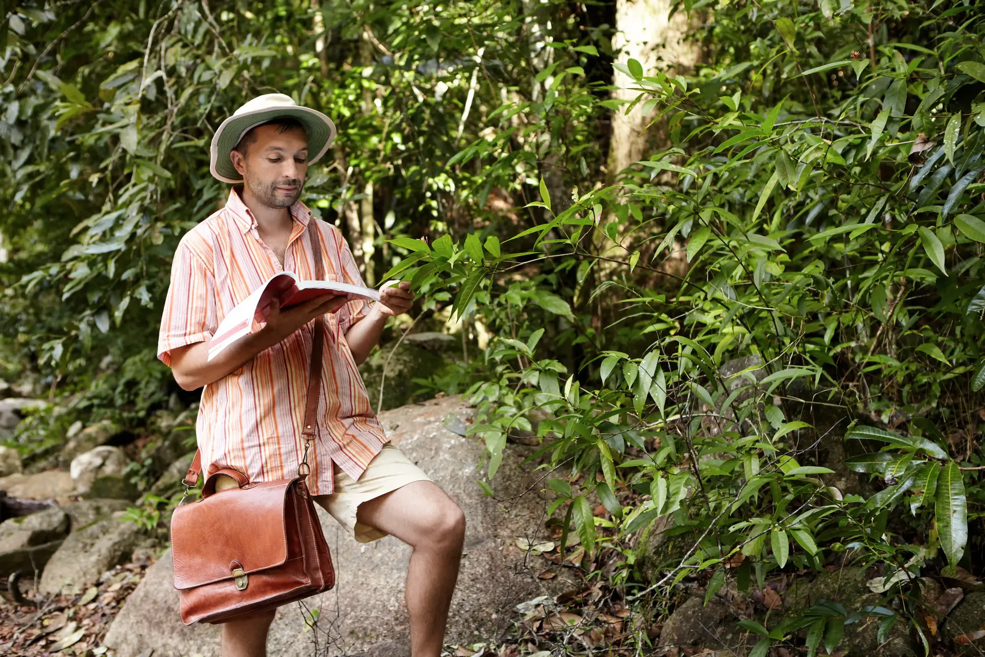 Belize travel scene featuring Digital Detox Stays