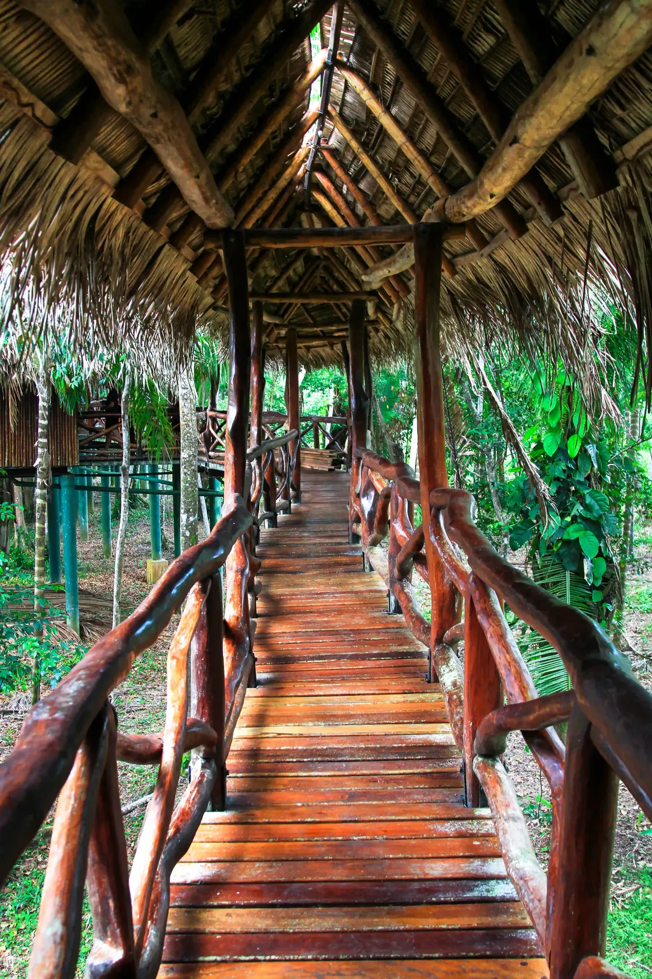 Belize travel scene featuring Jungle Eco-Lodges