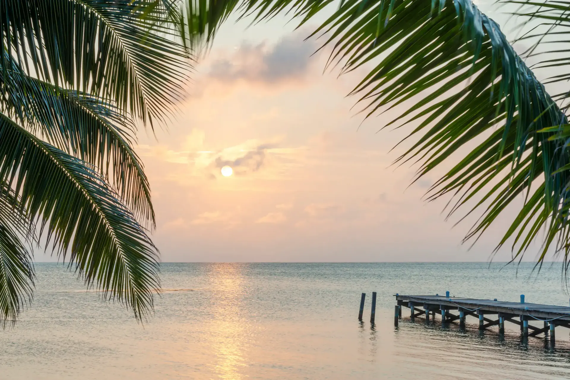 Palm-lined Placencia beach in Belize with bright sand and calm Caribbean water