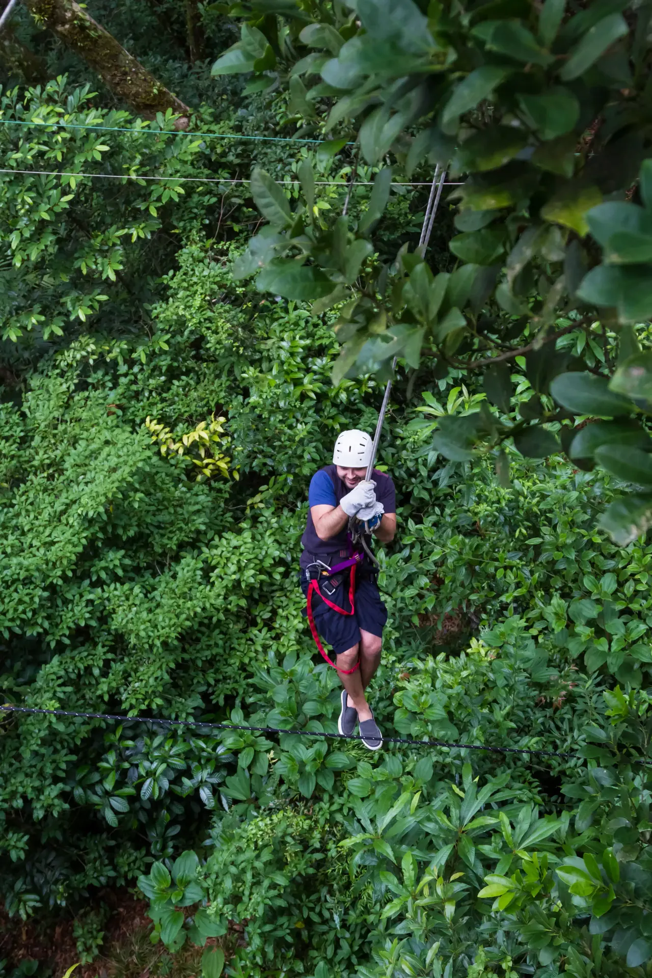 Belize travel scene featuring Canopy Zipline Runs