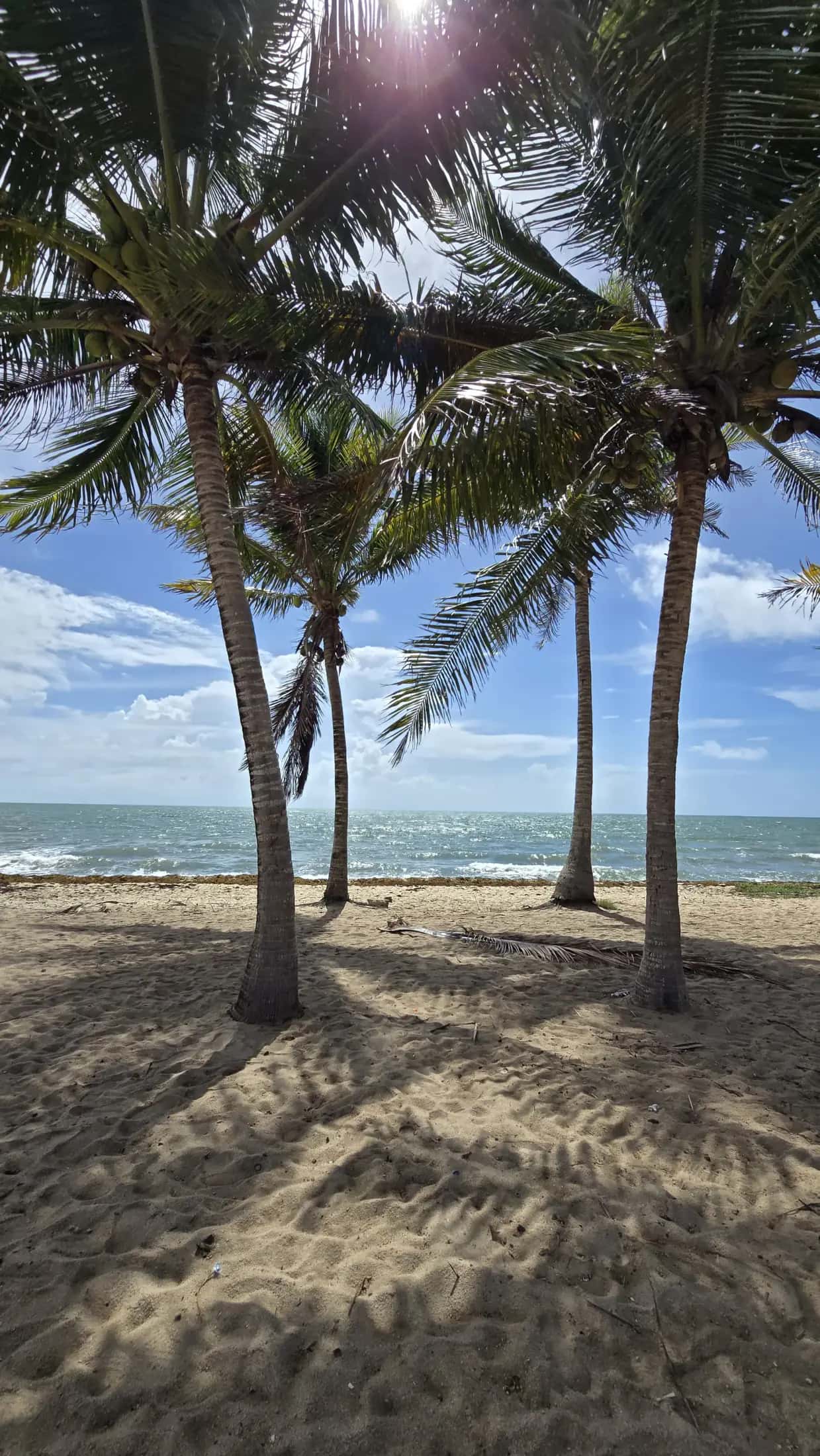 #VisitBelize photo 2