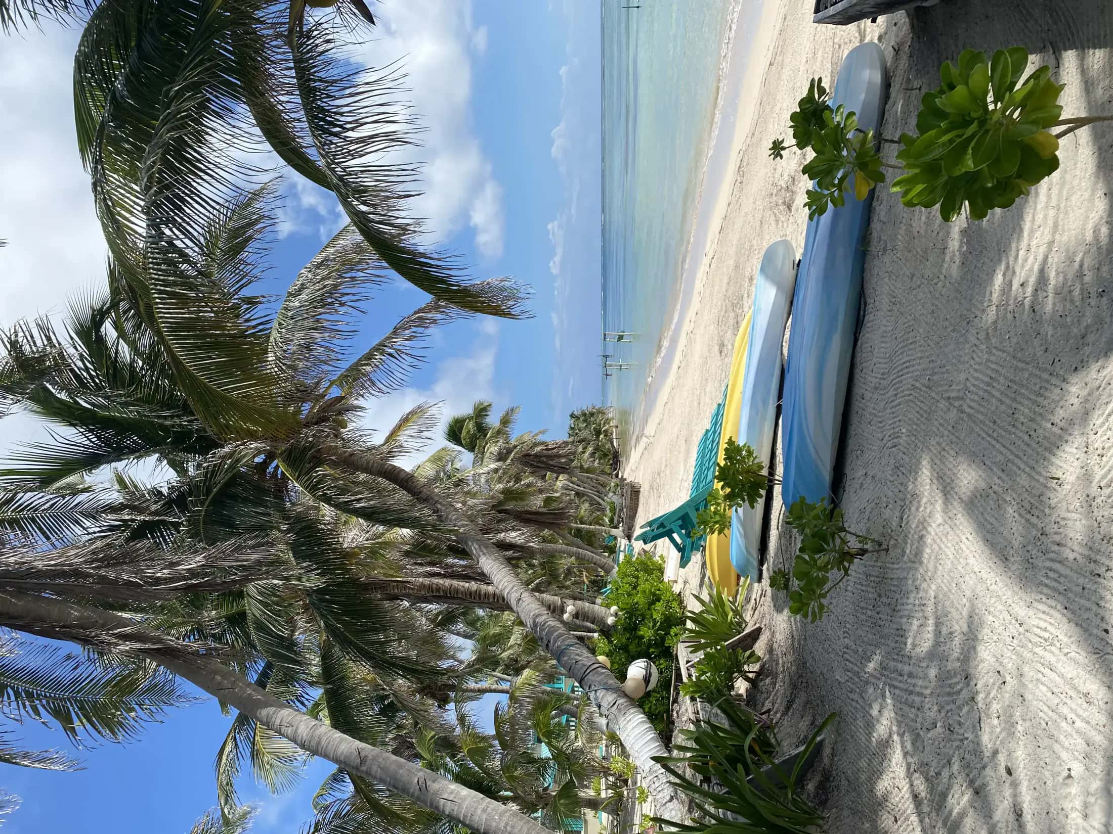 #VisitBelize photo 3