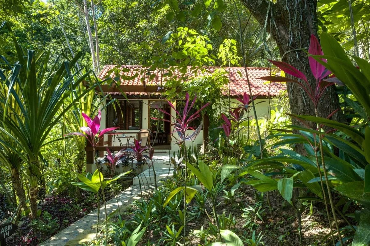 A Black Rock Lodge cabin with a tiled roof and covered porch, tucked among lush tropical garden foliage