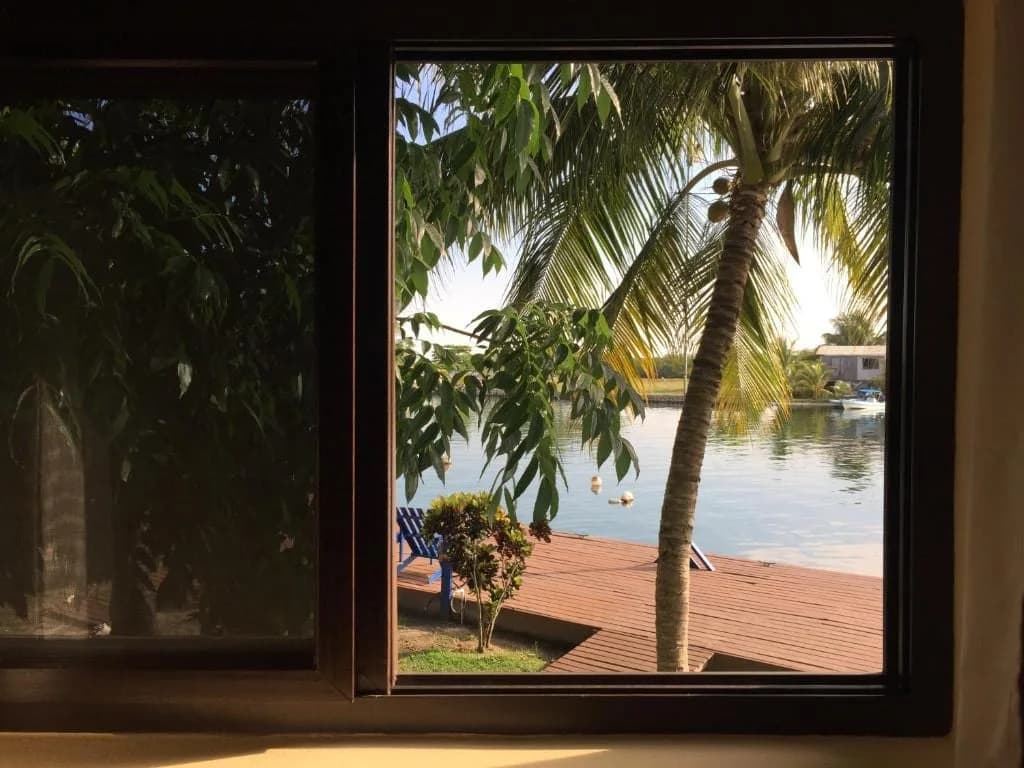 Lagoon view through the window of a Captain Jak's apartment, with a palm tree and dock on the Placencia Lagoon
