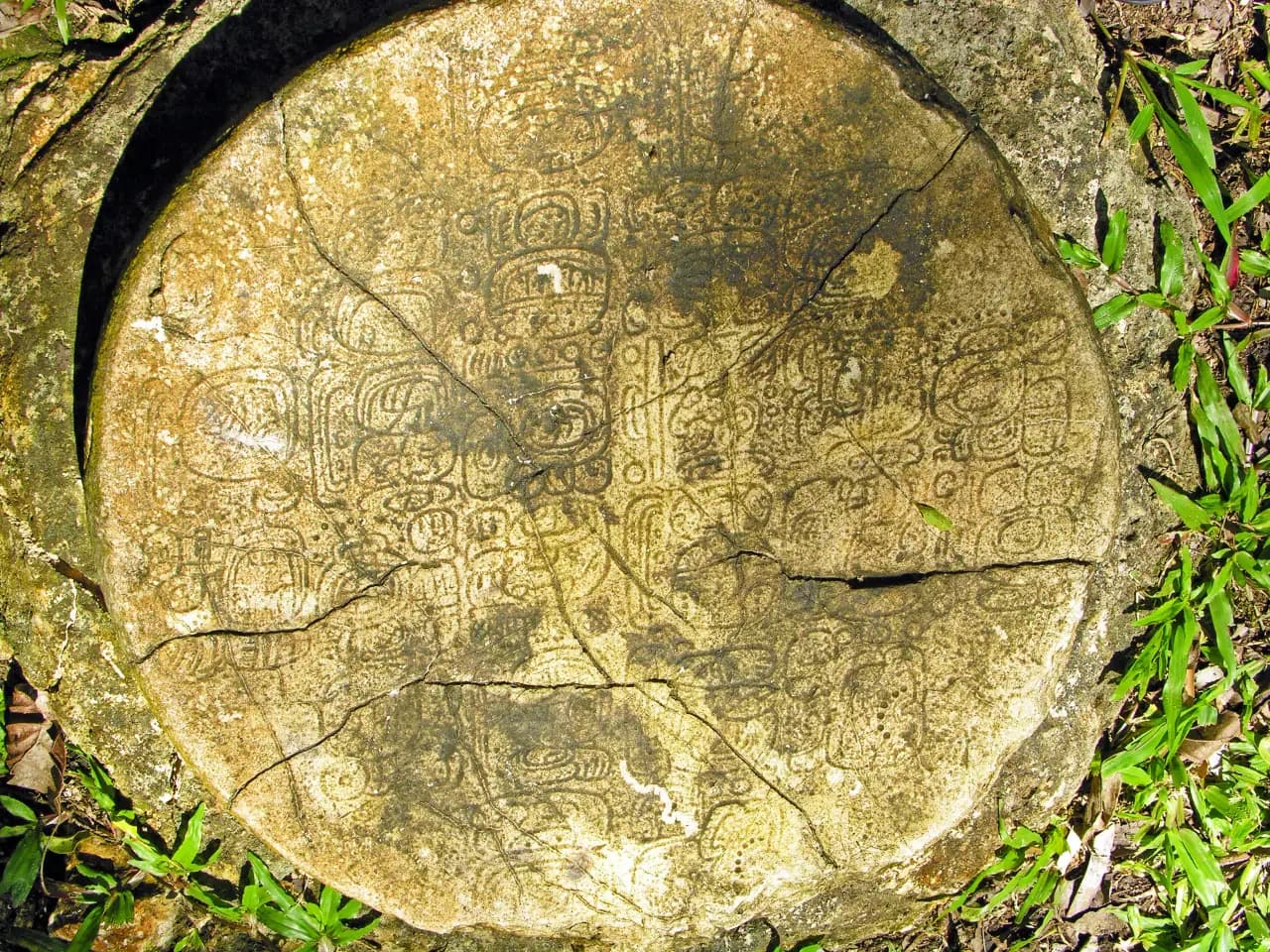 Circular carved Maya ballcourt marker bearing figures and hieroglyphic inscriptions at Caracol