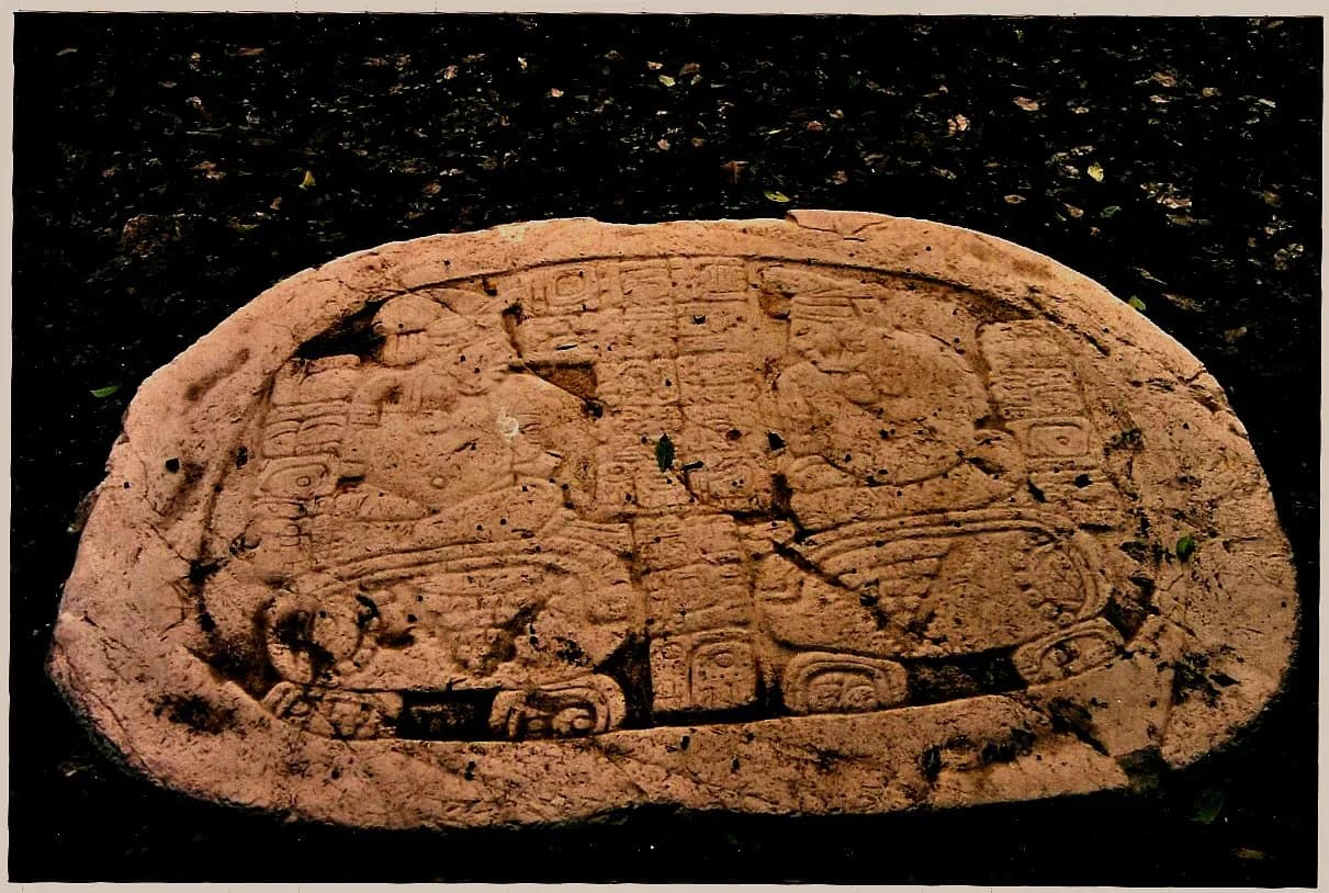 Weathered Maya stone monument carved with figures and hieroglyphs at Caracol.