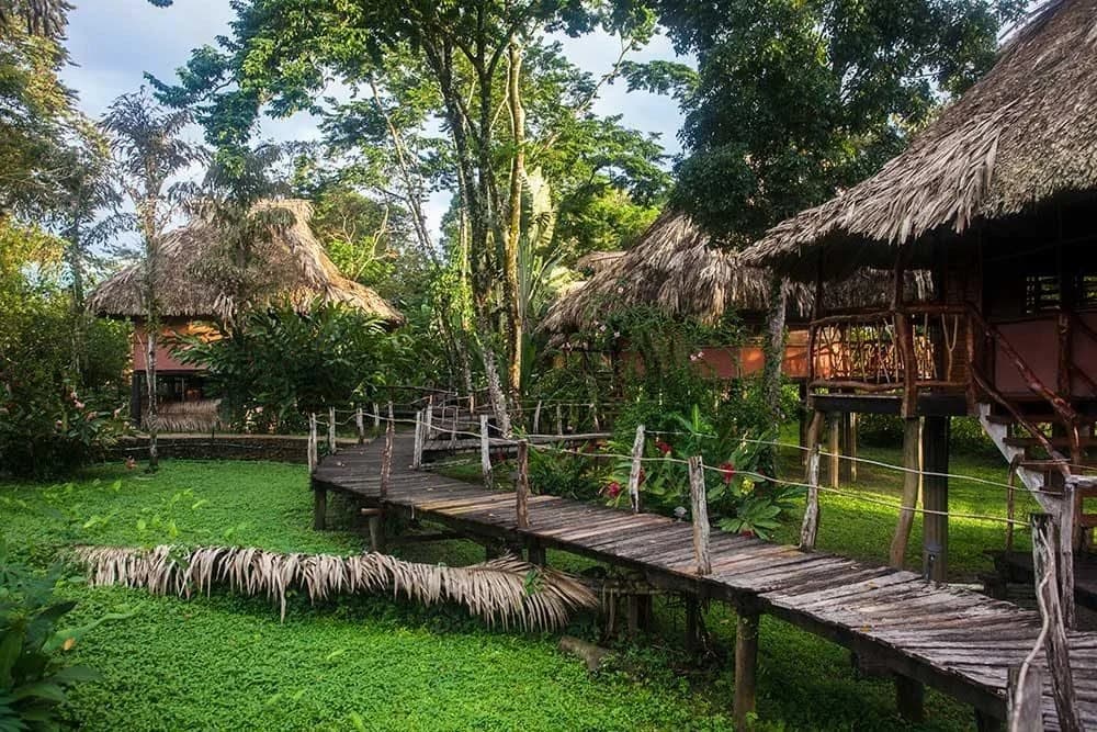 Jungle walkway leading to a Standard Garden Cabana at Cotton Tree Lodge, Belize