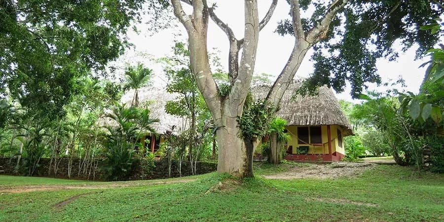 Palm-thatched Valley View cabanas nestled among trees on the jungle grounds of Crystal Paradise Resort, Cristo Rey, Belize