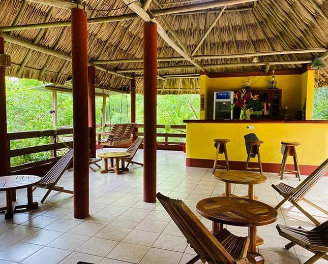 Open-air palapa bar and lounge seating overlooking the jungle at Crystal Paradise Resort