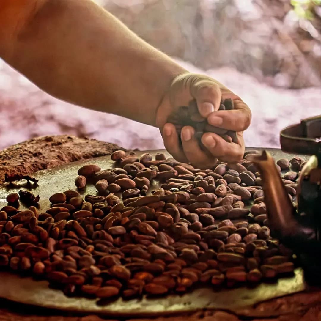 Cocao Beans