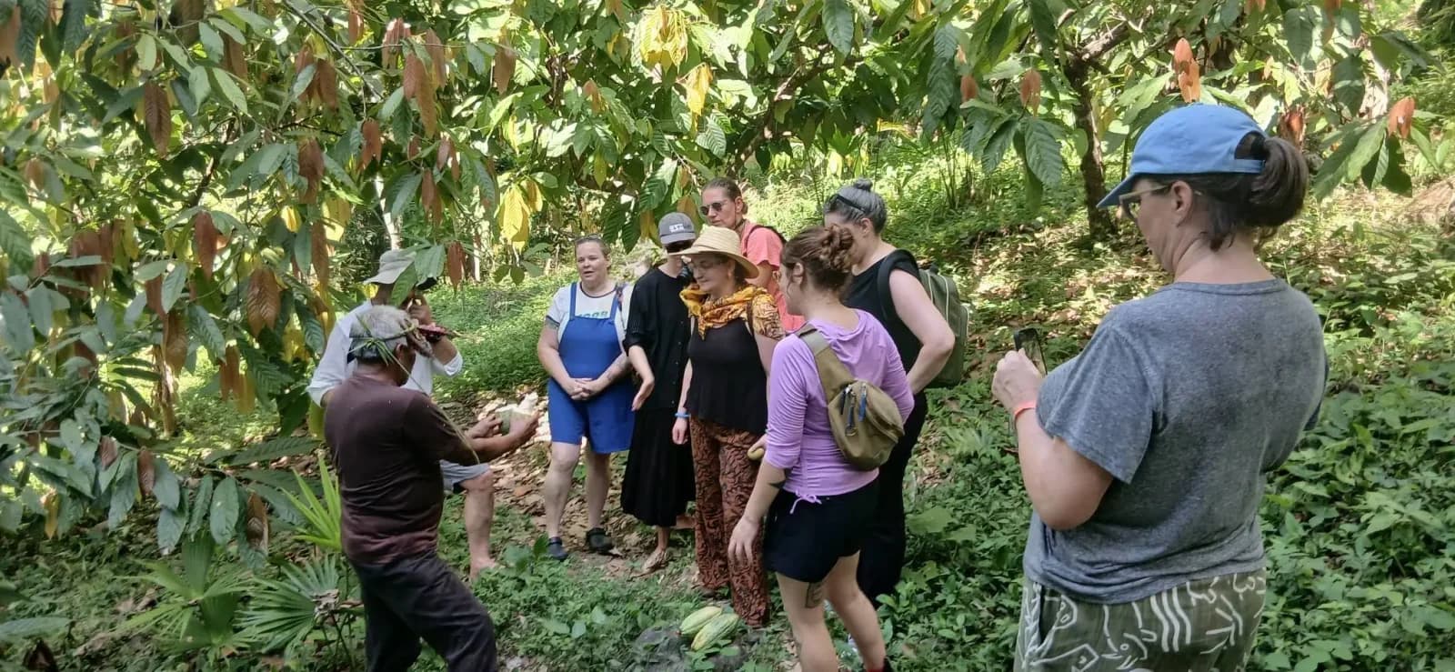 Eladios Ecofarm