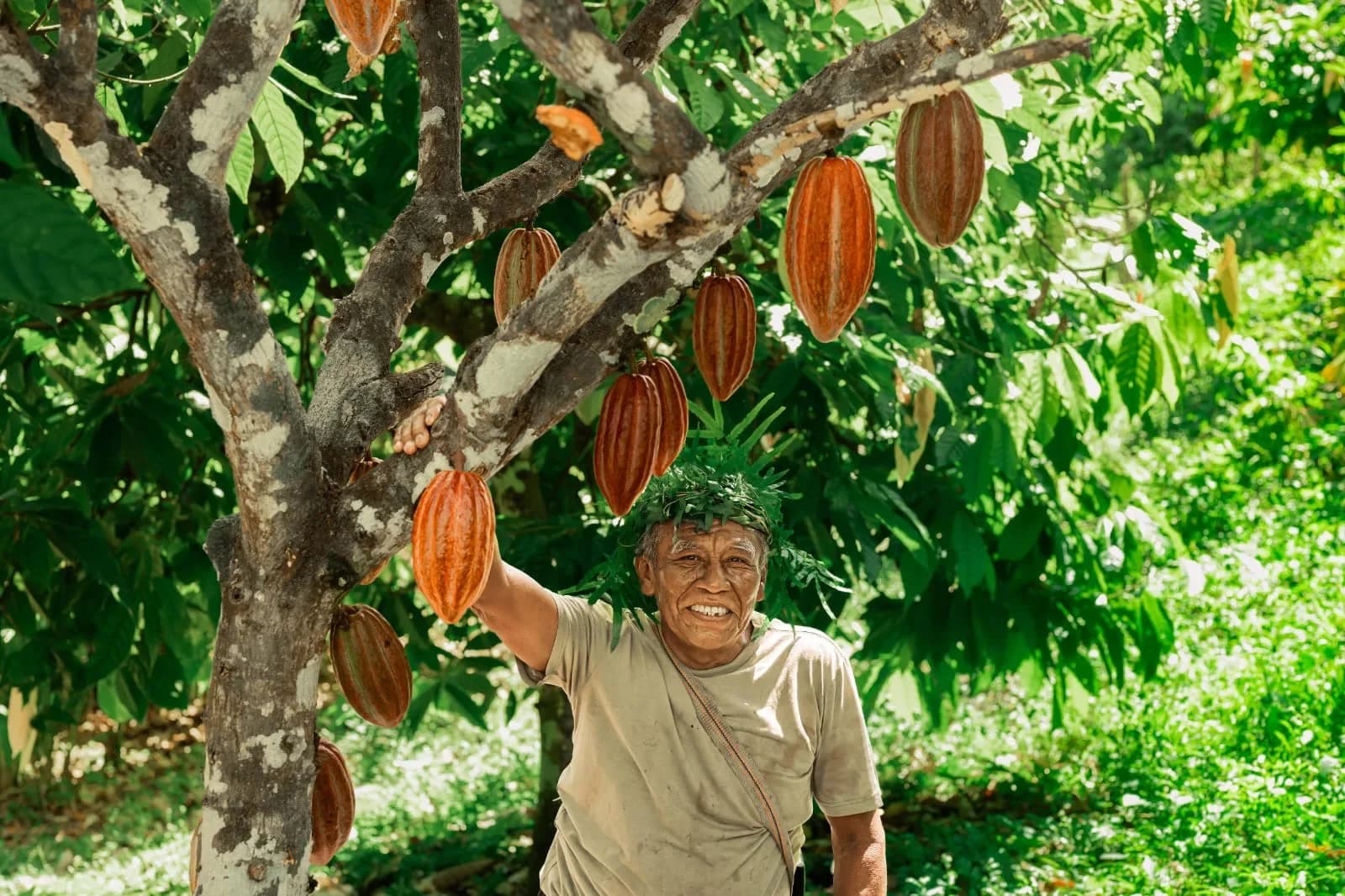 Belize travel scene featuring Eladio's Chocolate Adventure
