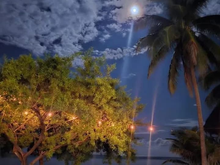 Belize travel scene featuring Driftwood Beach Bar & Pizza Shack
