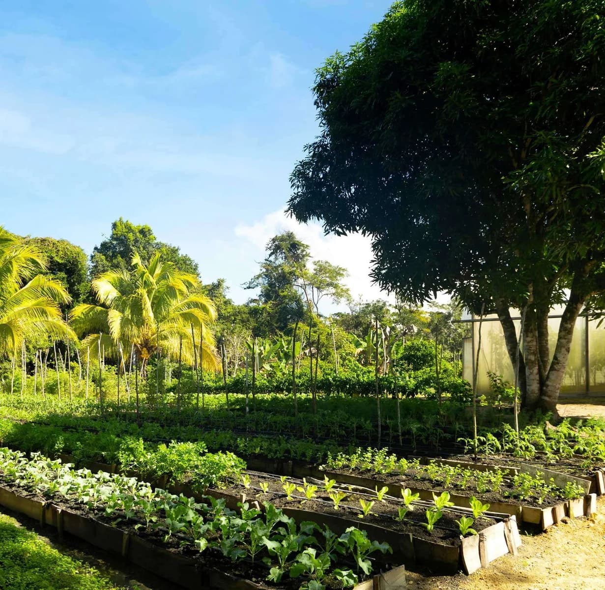 Raised-bed organic garden on the grounds of Gaia Riverlodge that supplies its restaurant
