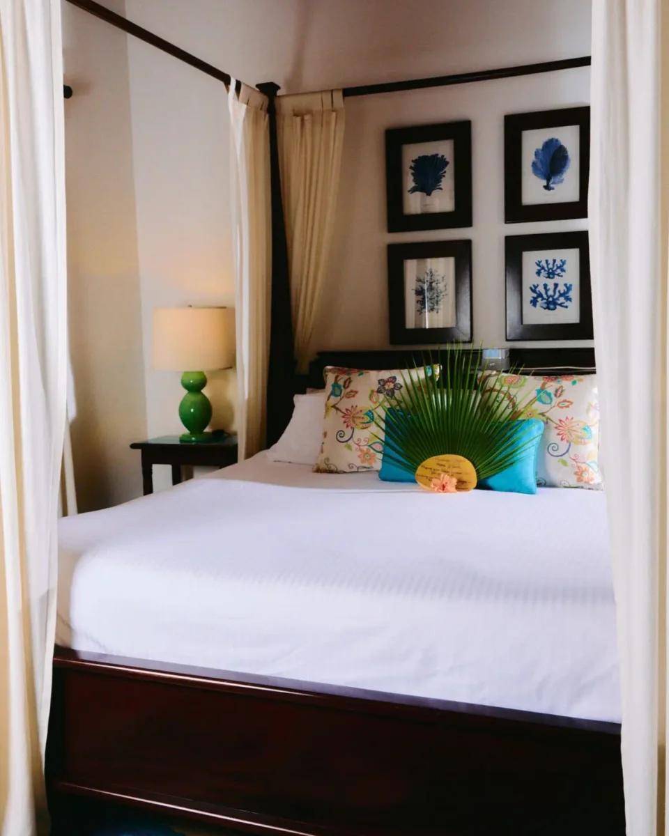 Hamanasi Resort