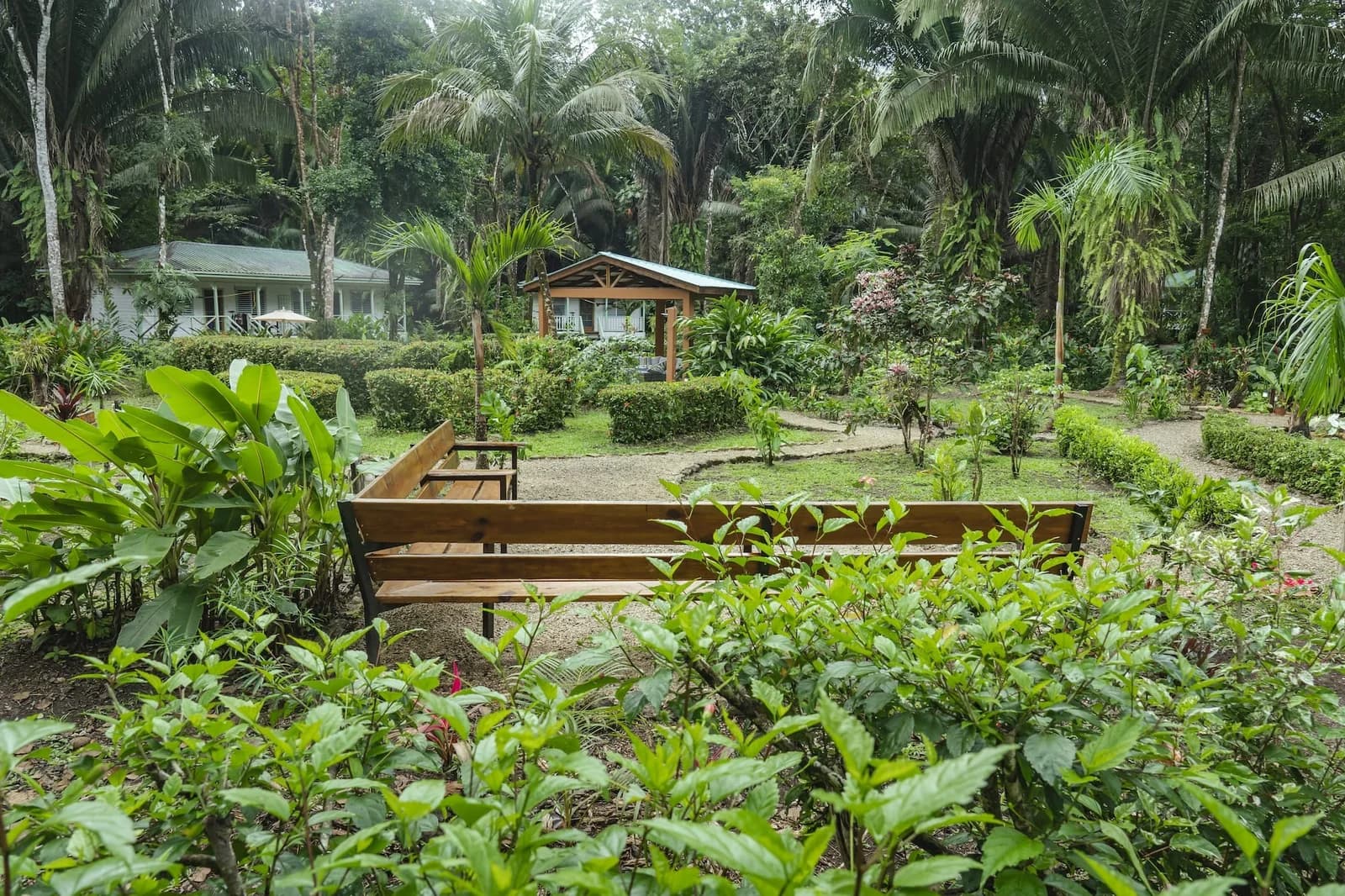 Tropical gardens and seating areas on the grounds at Hickatee Cottages, Punta Gorda, Belize