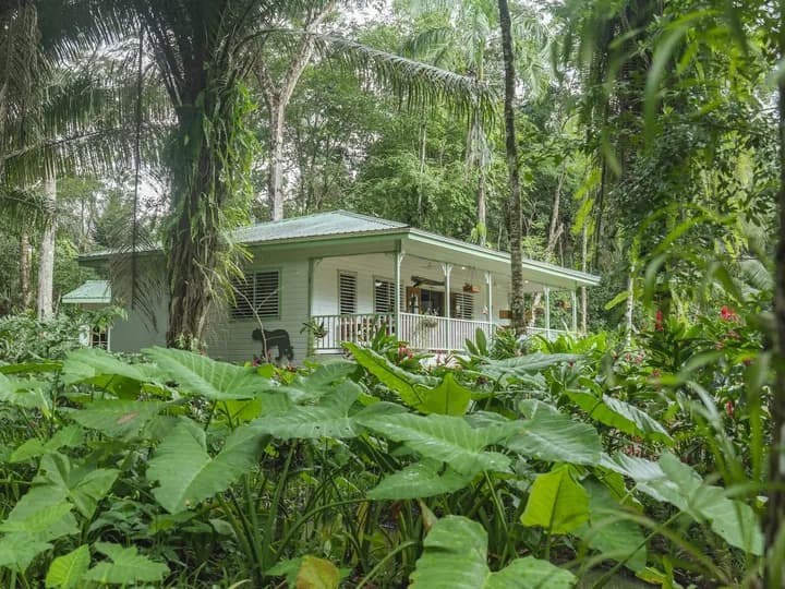 Belize travel scene featuring Hickatee Cottages in Punta Gorda