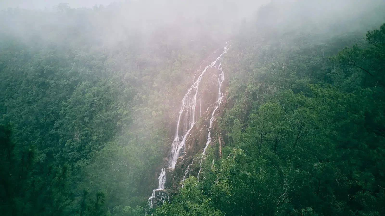 Thousand Foot Falls cascading through misty Mountain Pine Ridge forest near Hidden Valley Inn
