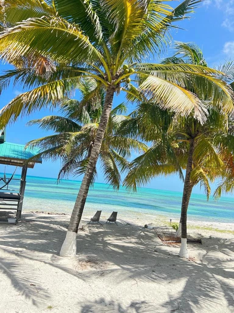 Beach cabana veranda with hammock and turquoise ocean view at Isla Marisol Resort