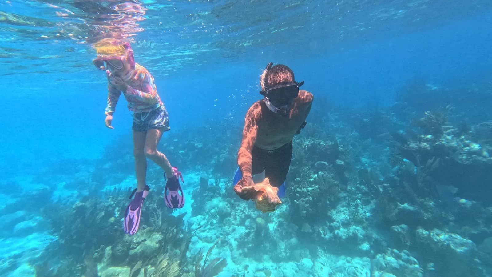Snorkelers exploring the coral reef near Isla Marisol Resort