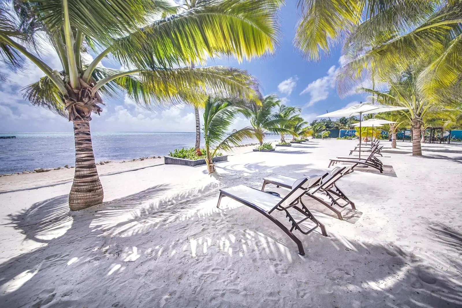 Private white sand beach at Las Terrazas Resort, Ambergris Caye, Belize