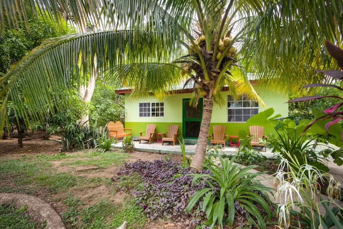 Casita Verde villa exterior at Midas Belize surrounded by palm trees and tropical landscaping