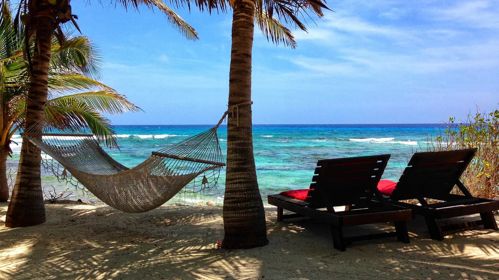 Hammock and lounge chairs strung between palm trees on the beach at Off The Wall Dive Center & Resort