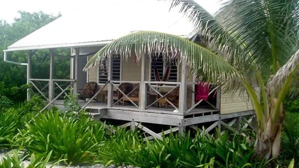 Raised thatched cabana exterior with porch among palm trees at Off The Wall Dive Center & Resort