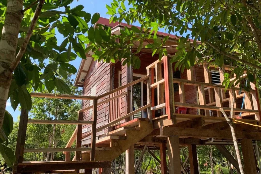 A stilted wooden cabin at Palmento Grove framed by mangrove trees on Kalipuna Island