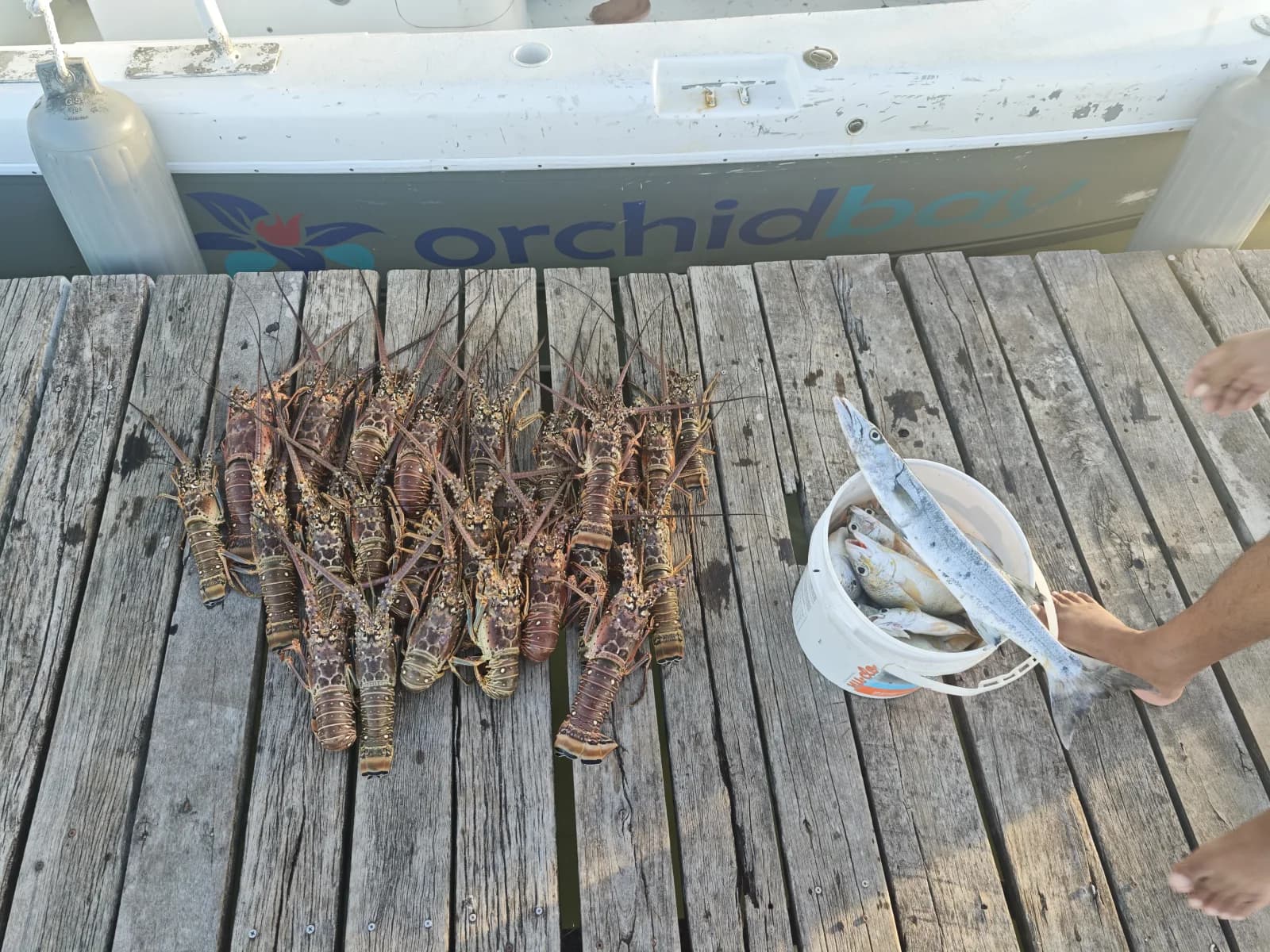Orchid Bay- Fishing