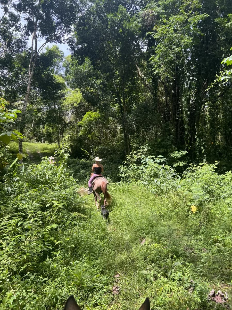 Mountain View Ranch, Belize