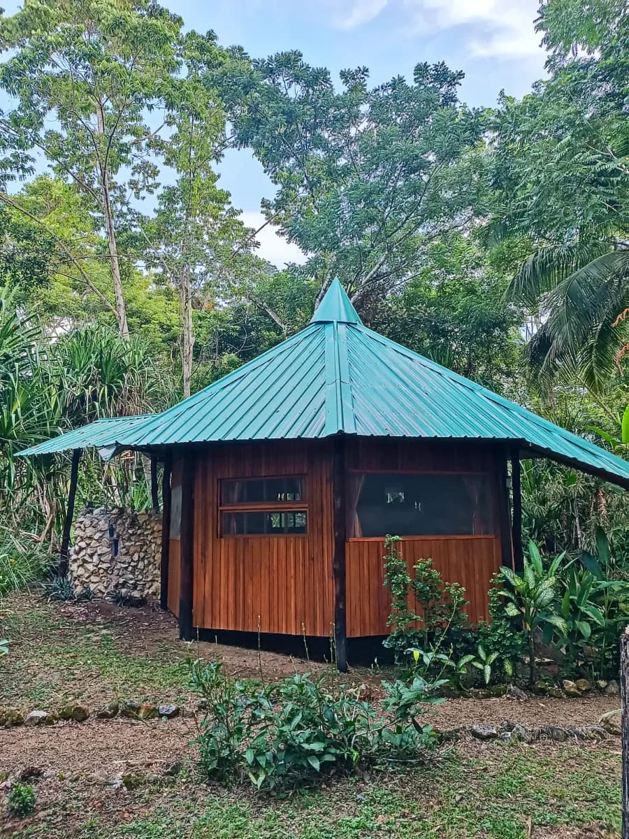 Cabana Toucan