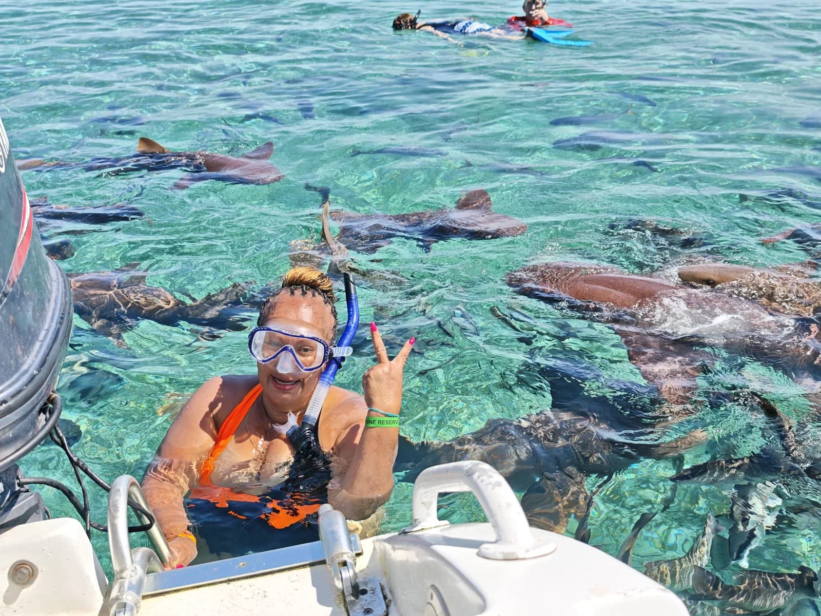 Black Orchid- Snorkeling