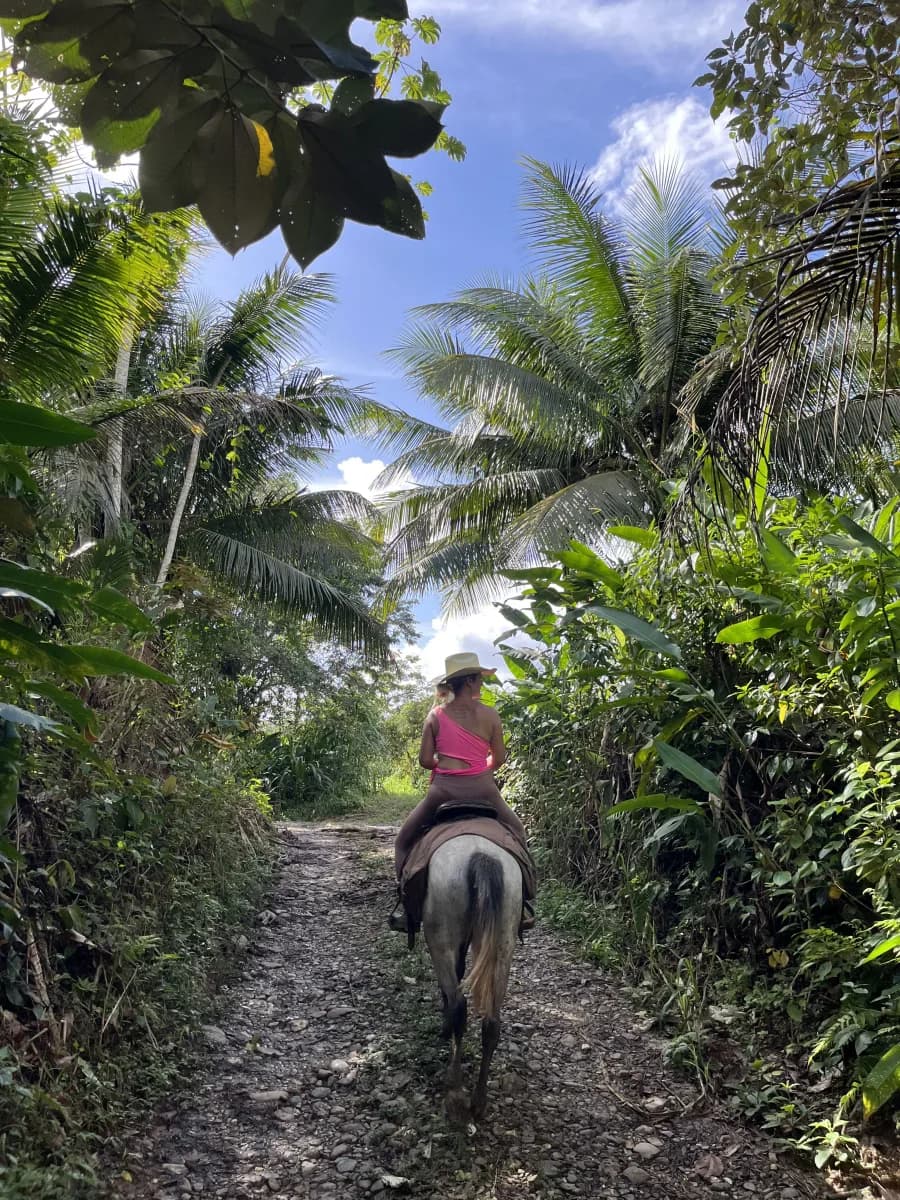 Mountain View Ranch, Belize